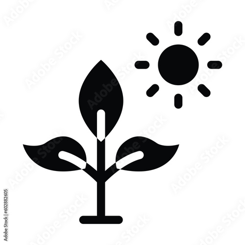 photosynthesis glyph icon illustration vector graphic
