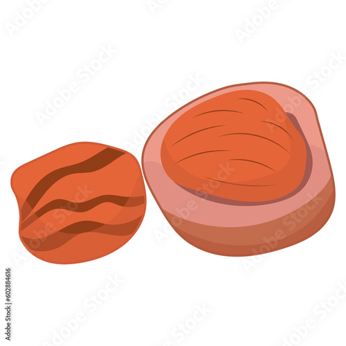 Nut Types Food Hazelnuts