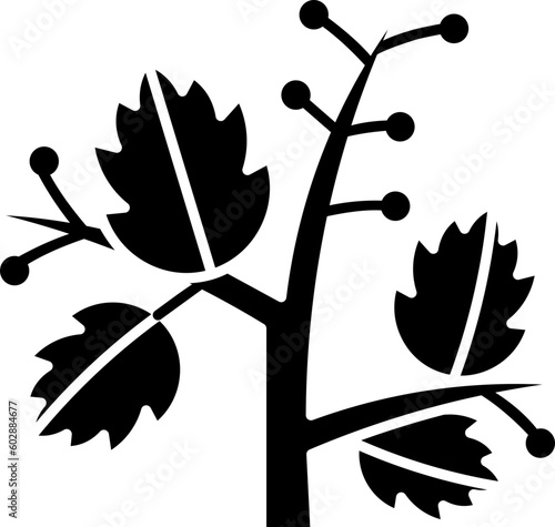 basil  icon