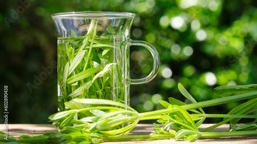Fresh herbal cleaver tea. Green cleaver leaves in a glass in a garden on a wooden table with fresh leaves in foreground. Also known as Galium aparine, clivers, catchweed or sticky willy photo