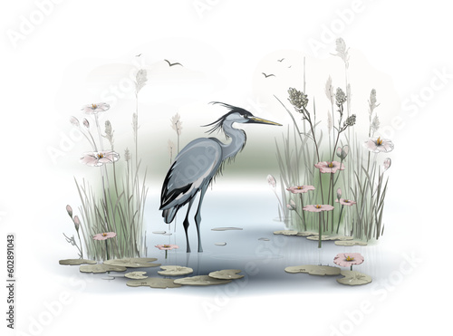 The blue heron stands in the water of the lake, surrounded by large pink flowers, floating lotus leaves and thickets of reed, cane and other marsh plants. Vector illustration in a watercolor style.