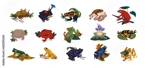 Different frogs and toads, animal species set. Various wild froggies. Diverse exotic tropical amphibians, reptiles of swamps, wetlands. Flat vector illustrations isolated on white background