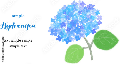 カードデザイン　アジサイ（水色）