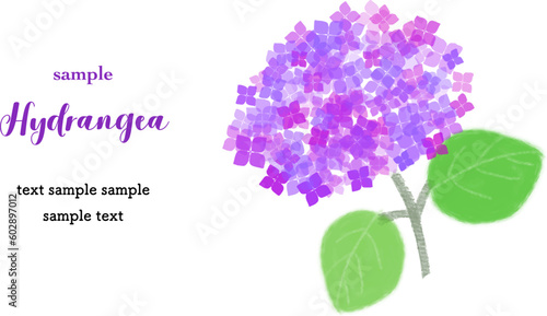 カードデザイン　アジサイ（紫色）