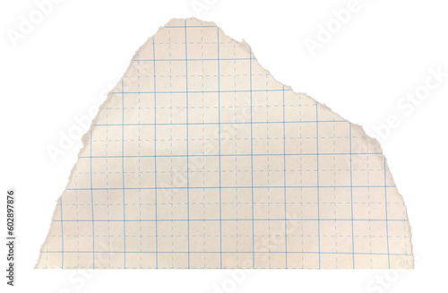 Ripped Page Graph Paper