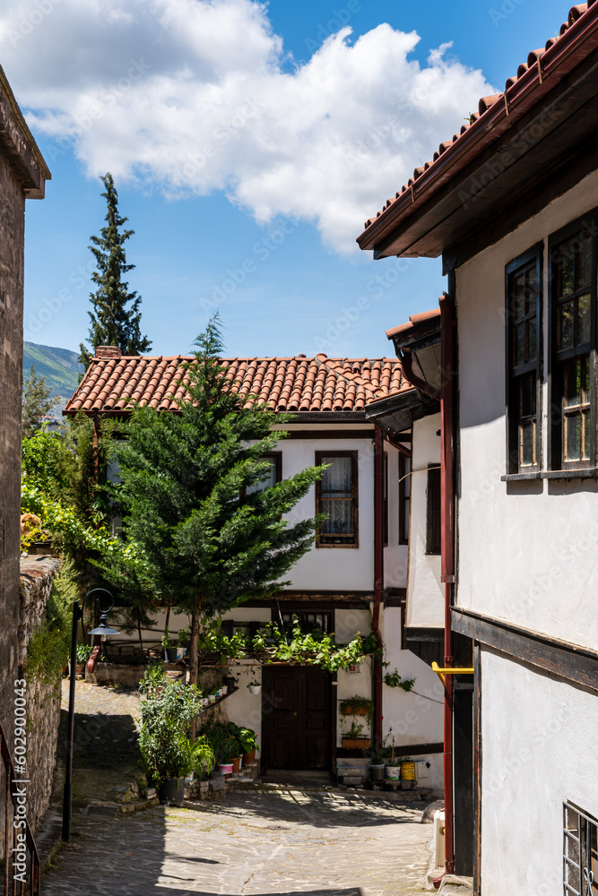 Old Ottoman houses in Amasya