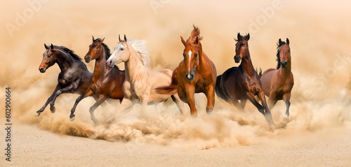 Fototapeta Naklejka Na Ścianę i Meble -  horses in the desert