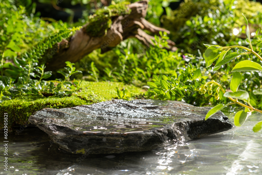 An empty stone platform is placed on the water with a forest floor, moss, ferns and trees behind. Cool natural scenery and space for product display. Front view An empty stone platform is placed on the water with a forest floor, moss, ferns and trees behind. Cool natural scenery and space for product display. Front view
