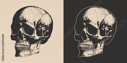 Set of vintage retro scary skull. Can be used like emblem, logo, badge, label. mark, poster or print. Monochrome Graphic Art. Vector. Hand drawn element in engraving