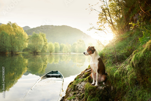 dog in a boat at sunrise. Beautiful pet on a morning walk. Adventure  active lifestyle  health