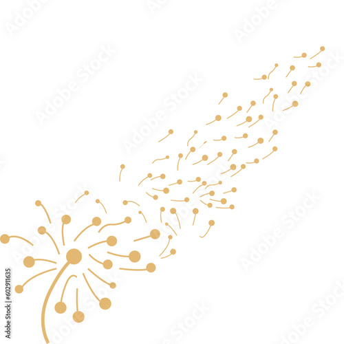 Dandelion Logo, Vector Plant Dandelion flower, Design Icon Template