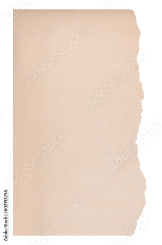 Torn Old Beige Paper