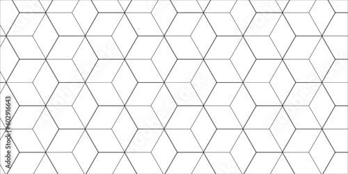Hexagon honeycomb white Background with geometric hexagon shapes. Hexagonal structure futuristic white background and Embossed Hexagon , honeycomb white Background ,light shadow ,Vector.