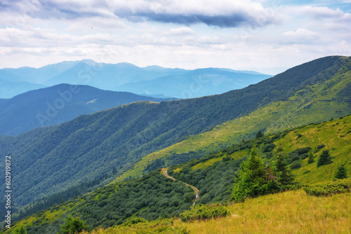 carpathian countryside in summer. popular travel destination of ukraine. scenery in bright morning light