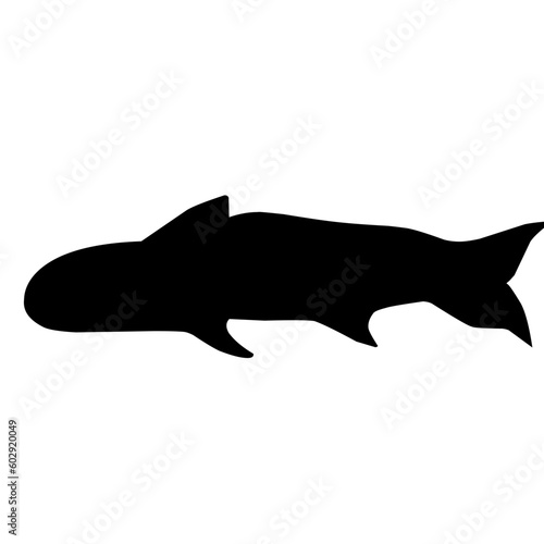 Salmon Fish Silhouette 