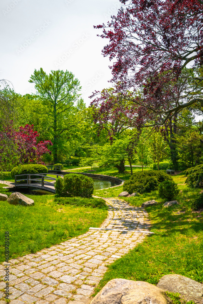 Japanese Garden at Roger Williams Park, Providence, Rhode Island, circular footpath, red maple and green willow trees on the hill