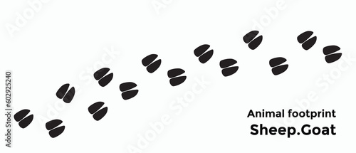 Hoof (paw) prints. Pig (deer, goat, cow, sheep) hoof prints. Animal paw prints isolated on grey background. Vector illustration