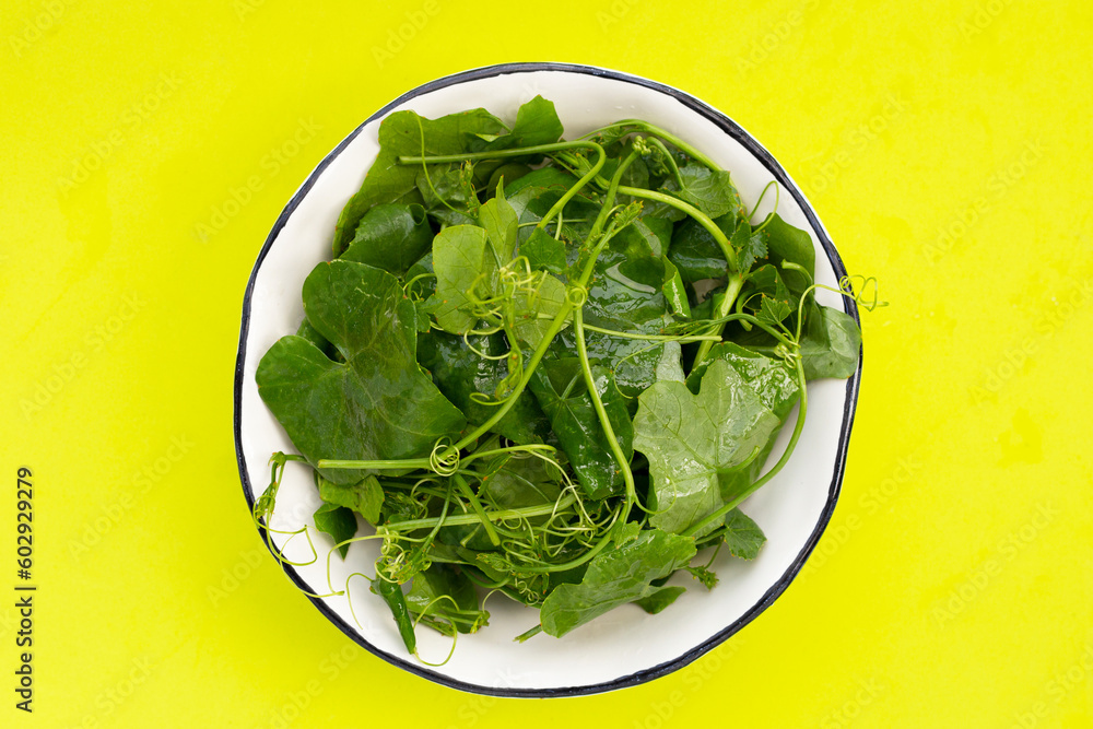 Lvy Gourd leaves on green background. Lvy Gourd leaves on green background.