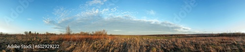 Panorama of branches with buds on the background of the evening and colorful sky. Young spring shoots of a tree.