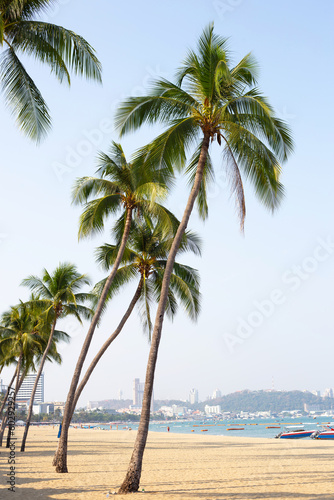 Coconut palm trees with sea. Pattaya beach