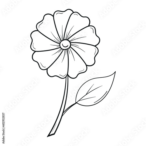 Fototapeta Naklejka Na Ścianę i Meble -  Hand Drawing Flower Outline Vector Illustration 
