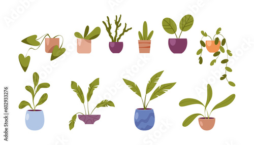 Houseplants, flowers in pots isolated flat cartoon house plants set, home or office flowerpots with green leaves, palms and cacti plants, potted trees
