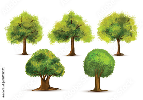 Set of various watercolor trees on white background