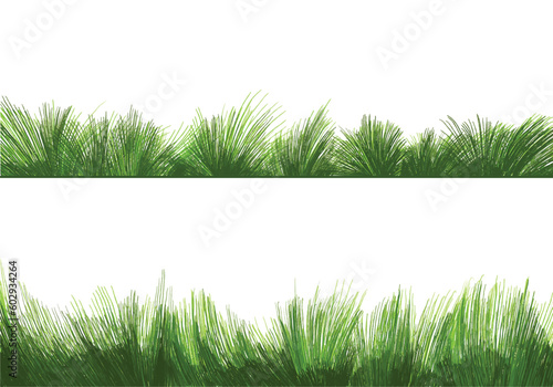Beautiful green grass Isolated background