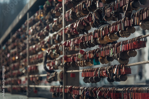A captivating image of a bridge adorned with countless padlocks, symbolizing the unbreakable bonds of love and unity among couples in Ljubljana.