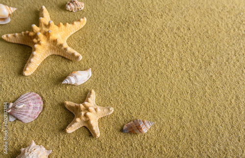 Sea stars lie on the sand. Beautiful summer background.