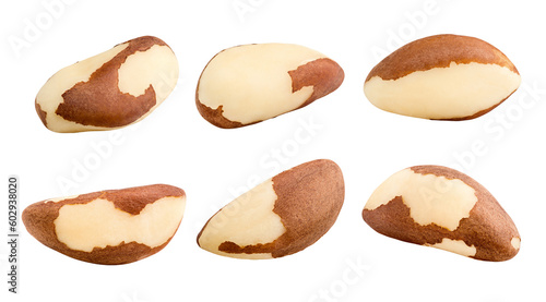 Fotografia brazil nut, isolated on white background, full depth of field