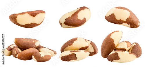 brazil nut, isolated on white background, full depth of field