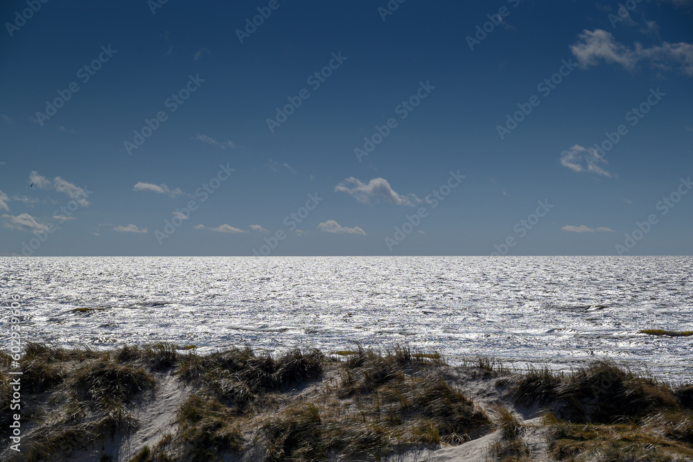 Fototapeta premium Baltic sea in silver light.