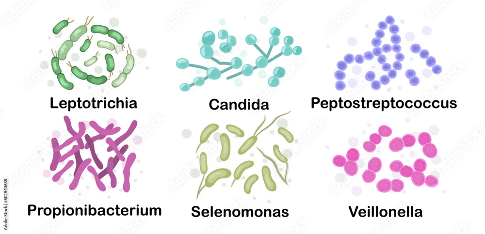 A set of pathogens, bacteria found in the human body. Microbiota ...