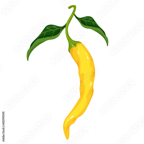Yellow chili pepper. Ripe spicy vegetable. Vector graphics.