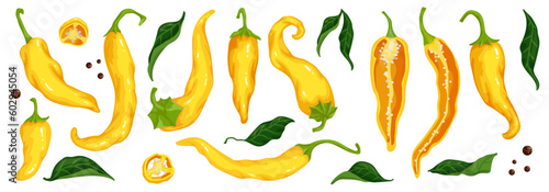 Set of yellow chili peppers, spicy vegetable halves and pieces. Vector graphics.