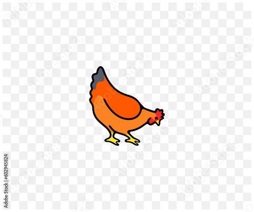 Chicken, hen, rooster, cock, poultry yard and chicken coop, colored graphic design. Bird, fowl, animal, fowl-run, henhouse and hennery, vector design and illustration