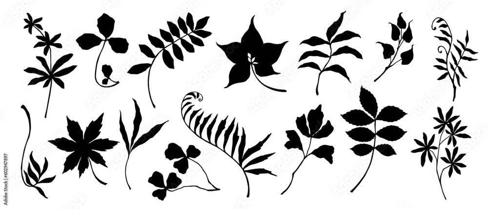 Set of silhouettes of botanical elements, branches, leaves, dried flowers. Vector graphics.