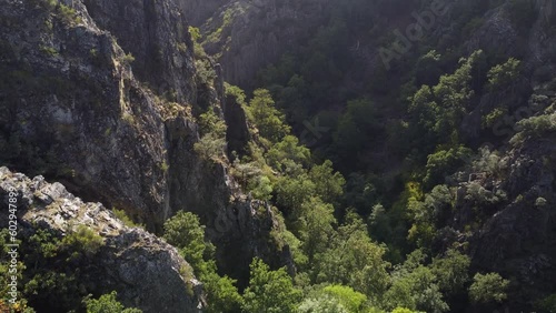 Scenic drone footage of a sprawling green valley photo