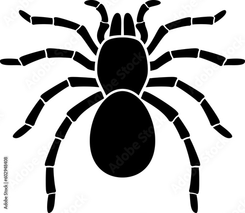 Tarantula Spider (Insect) PNG Illustration