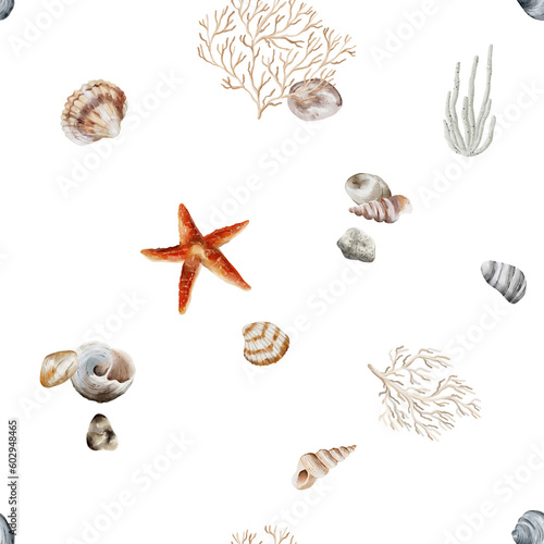 shell water breeze ocean life watercolour frame wall art clip art sea star fossil paradise sand vocation decoration coral 