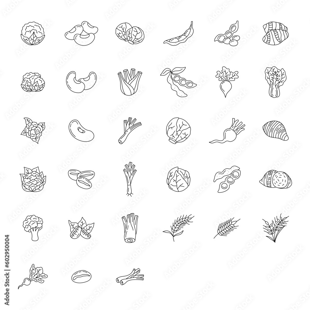 vegetable element doodle line set. Freehand drawing fruit and vegetables on a sheet of exercise book. Vector illustration. Set