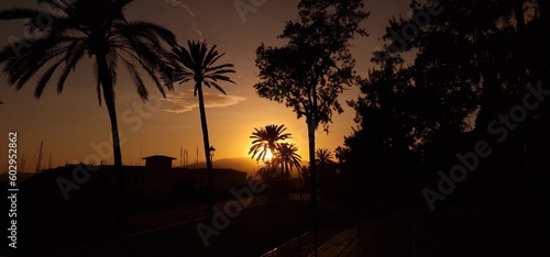 sunset in parc de mar next to Cathedral of Santa Maria of Palma, referred to as La Seu, is a Gothic Roman Catholic cathedral located in Palma, Mallorca, Spain