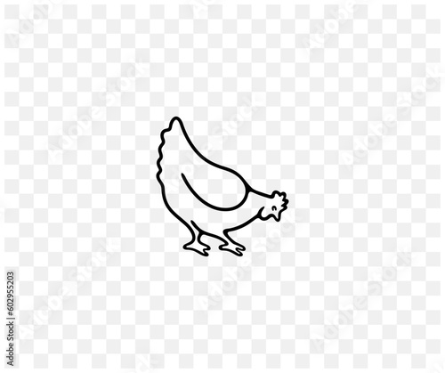 Chicken, hen, rooster, cock, poultry yard and chicken coop, linear graphic design. Bird, fowl, animal, fowl-run, henhouse and hennery, vector design and illustration