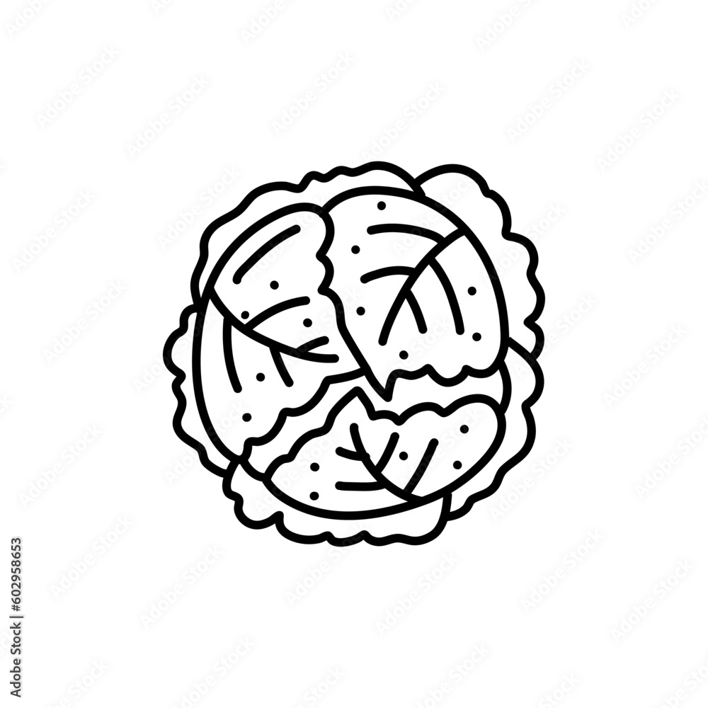 fresh cabbage doodle icon vector. vector hand drawn illustration of fresh cabbage vegetable, isolated outline clipart on white background fresh cabbage doodle icon vector. vector hand drawn illustration of fresh cabbage vegetable, isolated outline clipart on white background
