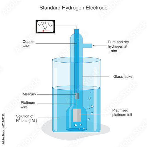 A Standard Hydrogen Electrode (SHE) is an electrode that scientists use as a reference electrode with potential zero.Standard hydrogen electrode diagram. Scientific vector illustration.