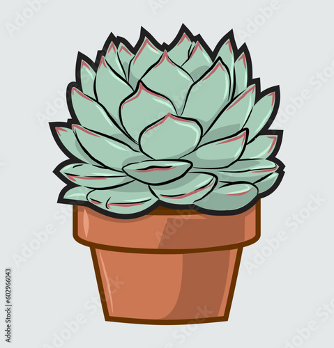 Succulent arrangement
