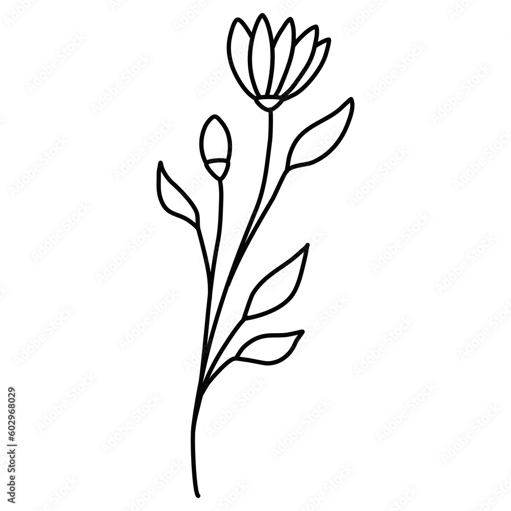 Line Art Floral Line Art Floral