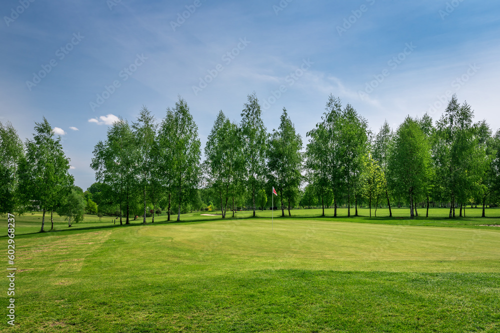 Golf course located in Bazantarnia Park in Siemianowice, Silesia, Poland. Perfectly cutted lawn surrounded by green, fresh trees. Row of the birch trees with fresh leaves. Golf as an outdoor activity.