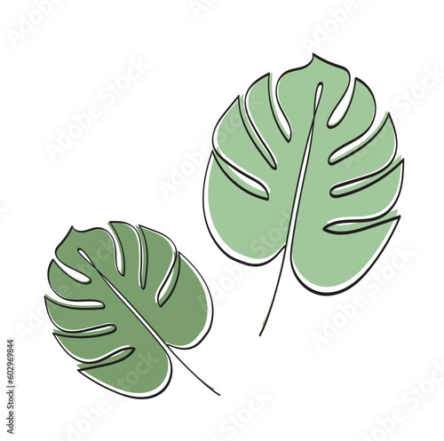 Summer palm leaf vector green plant, exotic leaves isolated on white background. Jungle illustration
